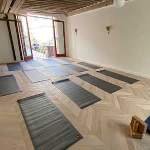 Virginie, un expert en cours de yoga à Guyancourt