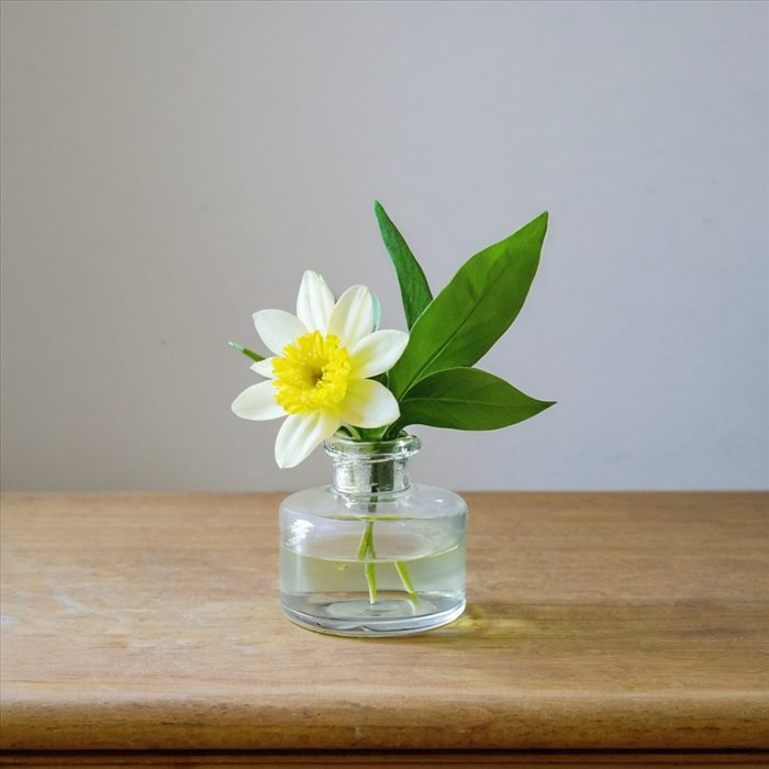 Fleurs de Bach : Apaiser colère et frustration efficacement