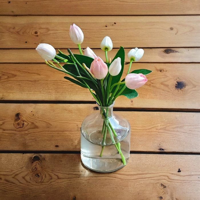 Fleurs de Bach : Apaiser l'Esprit Naturellement