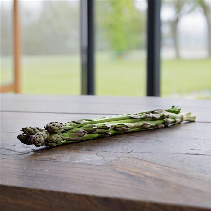 Sauge : Purifiez Votre Intérieur Naturellement