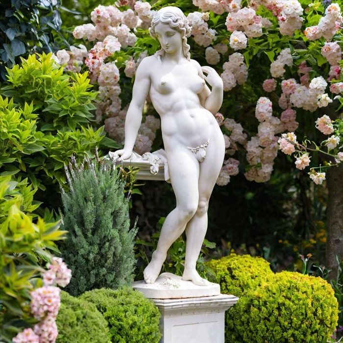 Vénus : Symbole de l'Amour et de la Beauté